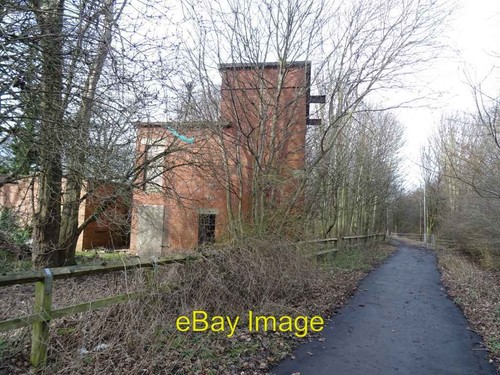 Photo 6x4 surviving - photo,