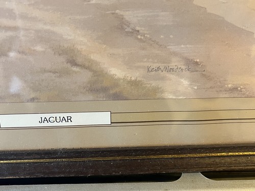 Nice vintage jaguar framed - "jaguar",