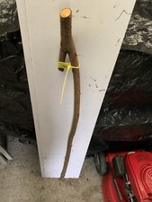 Seasoned Blackthorn SHANK