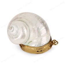 Real Nautilus Iridescence Coin