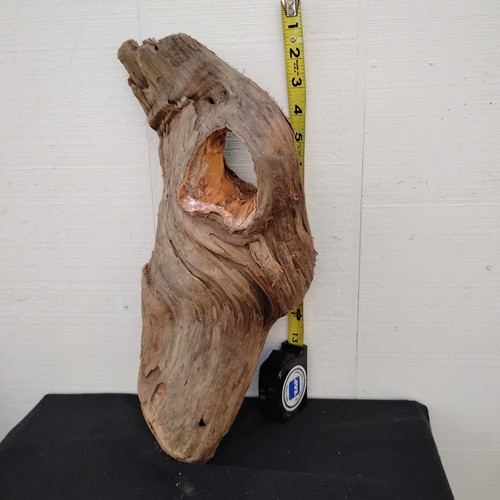 Driftwood sculpture piece - sculpture,