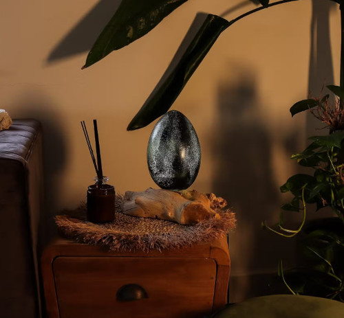Handmade driftwood lamp with - lamp,