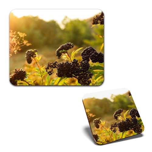 Mouse mat 1 square coaster - 1,