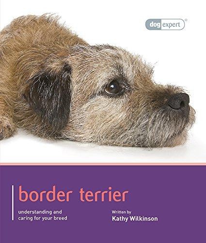Border terrier dog expert - terrier,