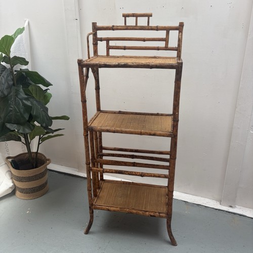 Victorian tiger bamboo - victorian,