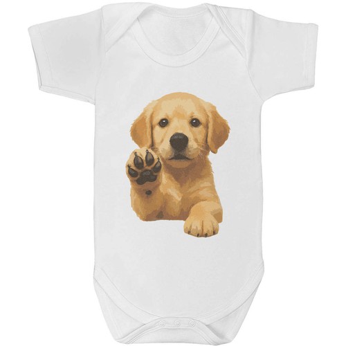 Golden retriever puppy baby - puppy',