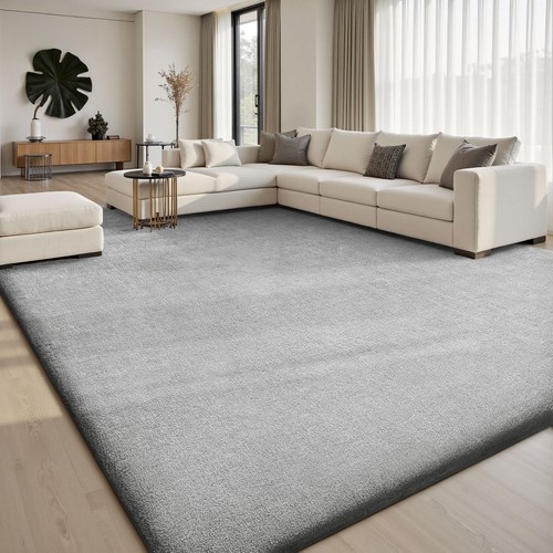 Large rugs for living room - for,