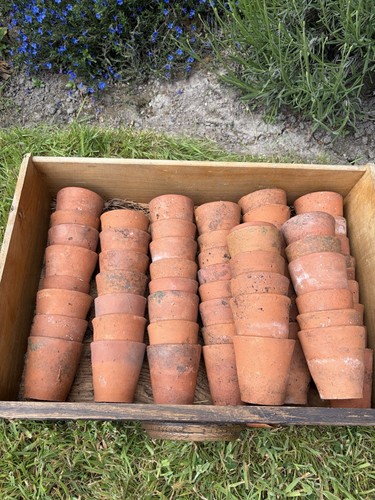 12x antique terracotta - ,