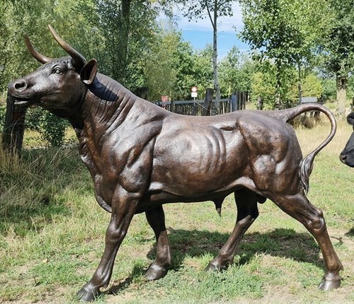 Bronze xxl bull sculpture - bronze,