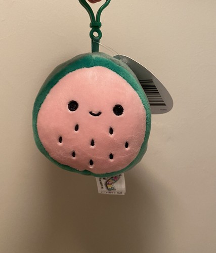 Squishmallow watermelon - squishmallow, watermelon🍉