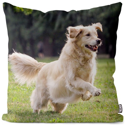 Golden retriever cushion cover - cushion,