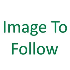 Rabbit Run Folding Guinea Pig