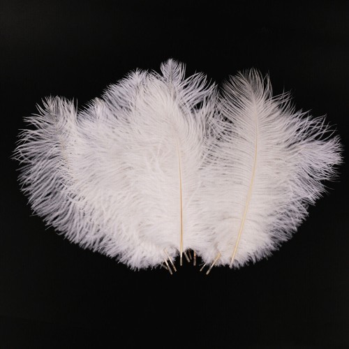 Pack 30cm large - large, ostrich