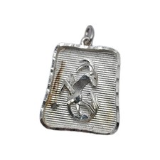 Sterling Silver Capricorn