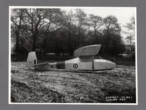 Slingsby prefect glider - prefect, large