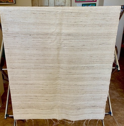 Raw silk fabric 40 - fabric, x