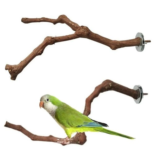 Wooden parrot bird stand - stand, tree