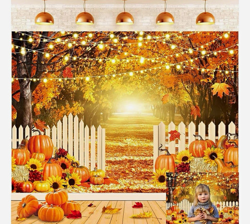 Autumn pumpkin halloween photo - halloween,