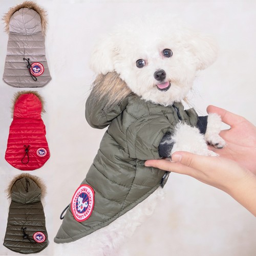 Designer dog jacket winter - jacket,
