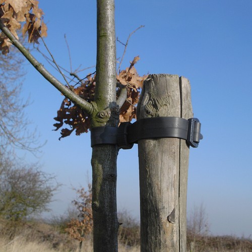 Heavy duty buckle - 50,