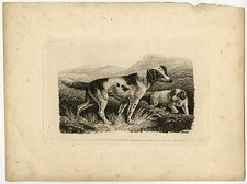 Antique Master Print-LANDSCAPE-DOGS-SPORTING-Howitt-1810
