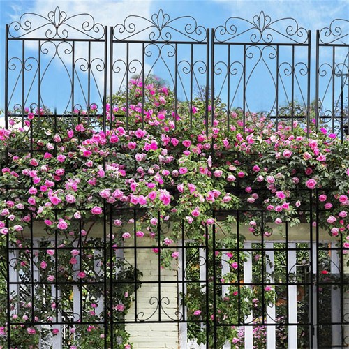 Anti rust metal garden - 2,