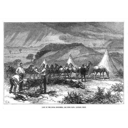 Cannock chase royal - cannock,