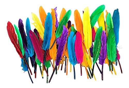 Quill feathers coloured - feathers, for
