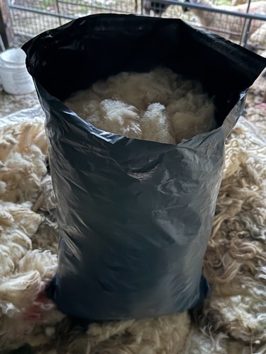 Large bag raw sheep - raw, sheep’s