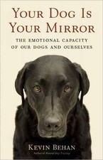 Your dog mirror - your,