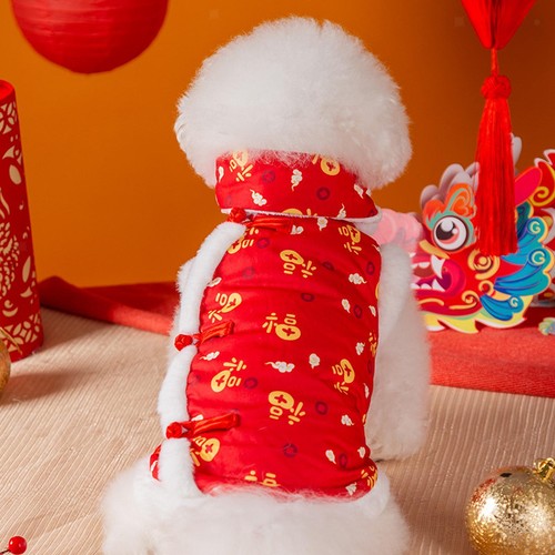 Tang costume cold weather - costume,