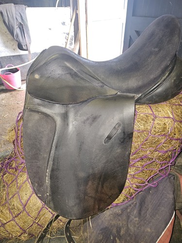 Barnsby dressage saddle - saddle, 17.5