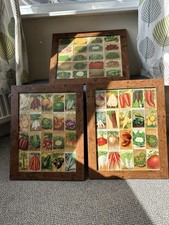 3x Vintage Framed, French Vegetable Seed Packet Pictures Medium Size 