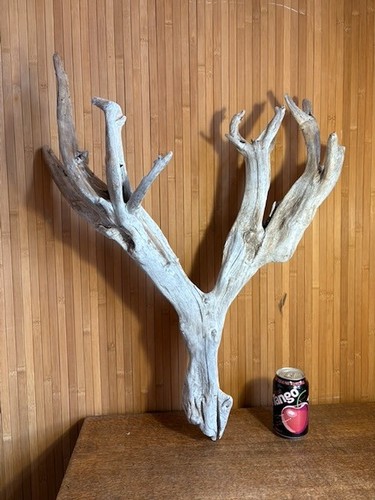 Driftwood piece fan shape - driftwood,