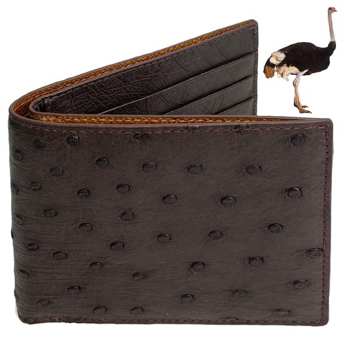 Men brown ostrich - men's,
