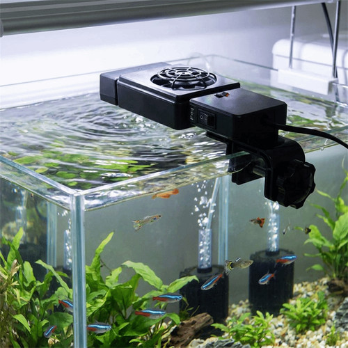 180 rotation aquarium - rotation,