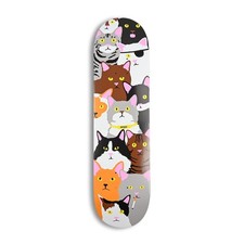 Enjoi Cat Collage R7