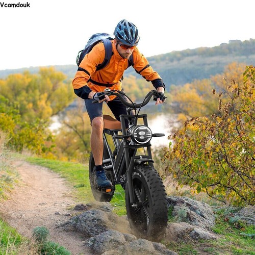 Electric bikes for - bikes, adults