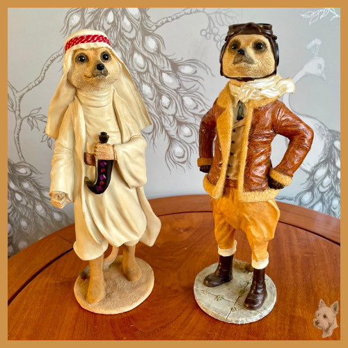 Country artists meerkat - artists,