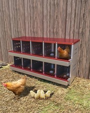 10 Holes Chicken Nesting Boxes