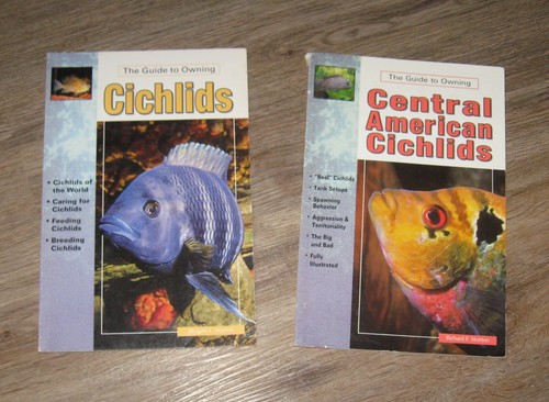 Guide owning central american - owning,