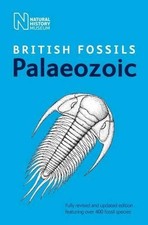 British palaeozoic fossils - british,