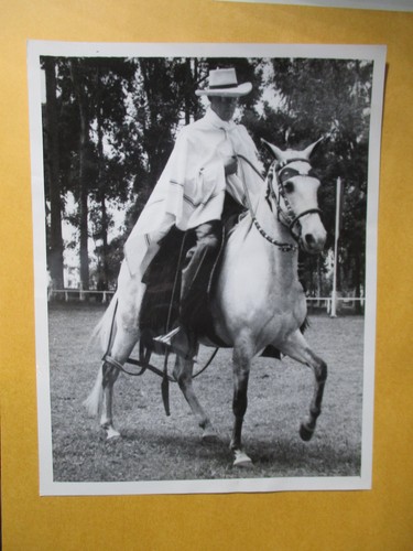 Prince bernhard husband - prince,