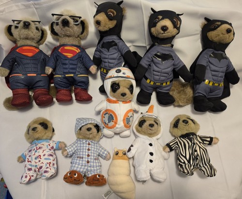 Compare the meerkat bundle 10x - meerkat,