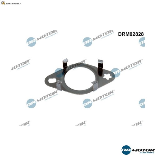 Gasket line egr valve - gasket,
