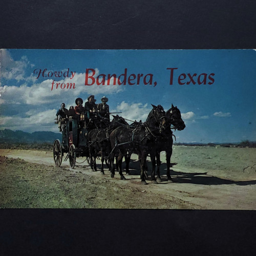 Postcard bandera horse - tx,