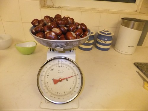 Fresh sweet chestnuts - sweet, new
