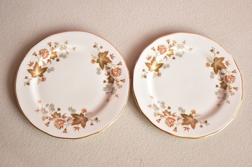 Colclough china avon - china, autumn