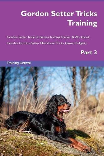 Gordon setter tricks training - setter,