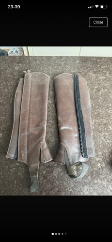 Ariat classic chaps brown - ariat,